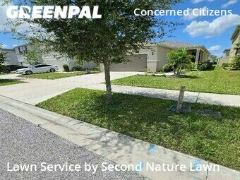 Grass Cut nearby Gibsonton, FL, 