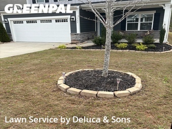 Lawn mowed in Greenville, 29607