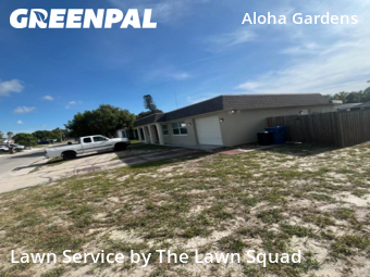 Lawn Cut nearby Holiday, FL, 