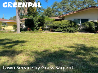Lawn Cuttingin Clearwater,33755,Lawn Mow by Grass Sargent, work completed in Dec , 2025