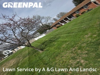 Lawn Mow nearby West Chester Township, OH, 