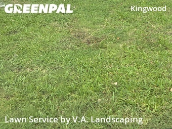 Lawn Maintenance nearby Humble, TX, 