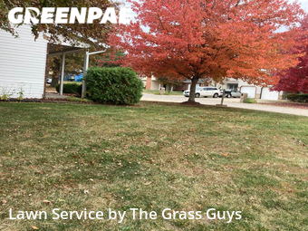 Lawn Service nearby Belleville, IL, 