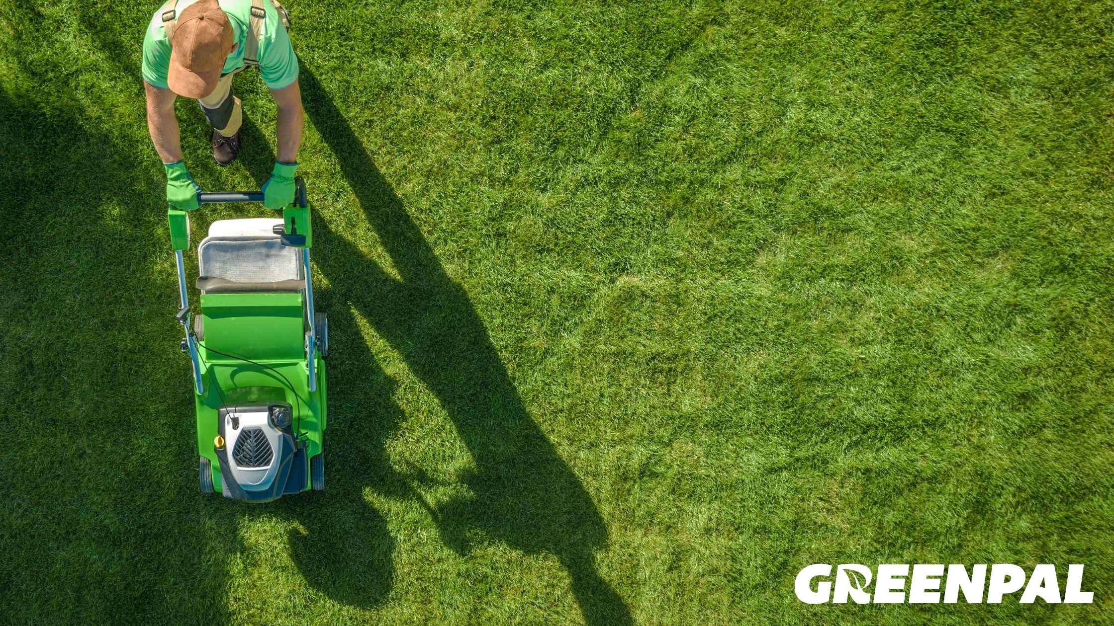 The 8 Best States to Start a Lawn Care Business (According to the Pros)