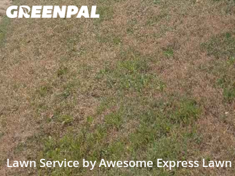 Mowing Services in Carbondale, 62901, Lawn Services by Awesome Express Lawn, work completed in Nov , 2025