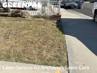 Lawn Mow nearby Carson, CA, 