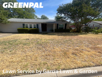 Lawn Mow nearby Fort Worth, TX, 