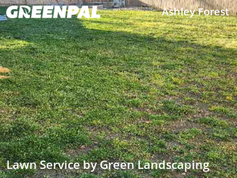 Lawn Mowing Service nearby Durham, NC, 
