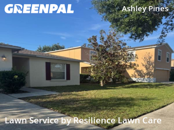 Lawn Mow nearby Wesley Chapel, FL, 