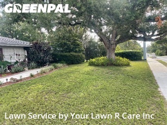 Lawn mowed in Temple Terrace, 33617