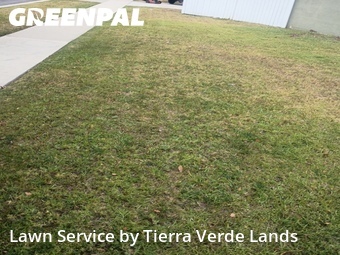 Work completed by cheap-lawn-cutting-businesses-in in Garden Grove, CA