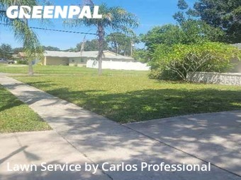 Yard Mowing nearby St. Petersburg, FL, 