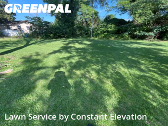 Yard Mowing nearby La Grange, NC, 