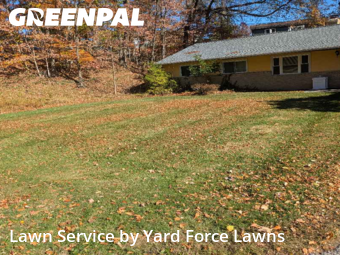 Lawn mowed in Amherst, 44001