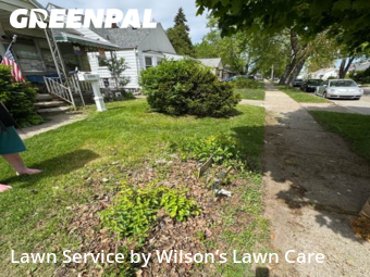 Grass Cut nearby Lincoln Park, MI, 