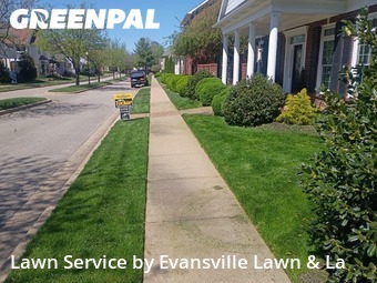 Lawn Cut nearby Evansville, IN, 