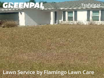 Lawn Cutting nearby Cape Coral, FL, 