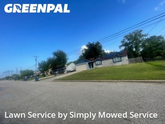 Weed Trimming in Texas City, 77590, Yard Care by Simply Mowed Service, work completed in Dec , 2025