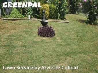 Lawn Cutting nearby Fairfield, AL, 
