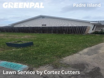 Yard Cutting nearby Corpus Christi, TX, 