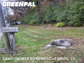 Yard Cutting nearby Ingleside, IL, 