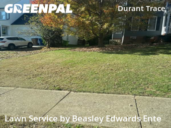 Grass Cutting nearby Raleigh, NC, 