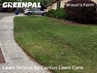 Lawn Care Service nearby San Antonio, TX, 