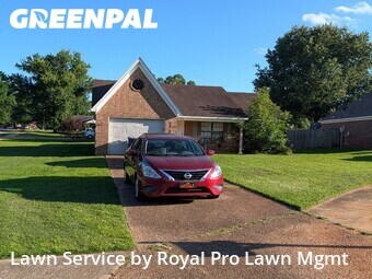 Lawn Mow nearby Olive Branch, MS, 