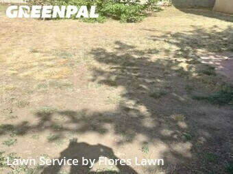 Lawn Cut nearby Lancaster, CA, 