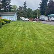 local-lawn-care-services-in-Medford-OR