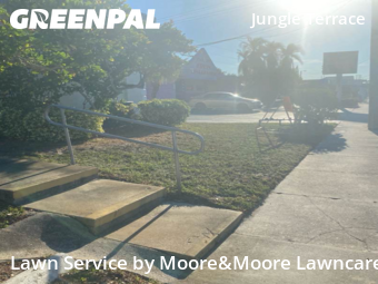 Lawn Cut nearby St. Petersburg, FL, 