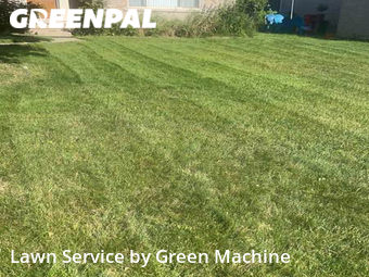 Lawn Cut nearby Southfield, MI, 