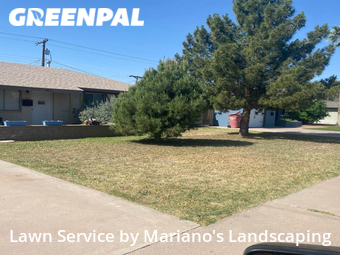 Lawn Cutting nearby Scottsdale, AZ, 
