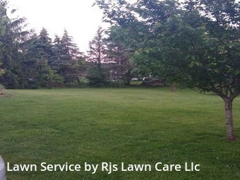 Lawn Cut nearby Easton, PA, 