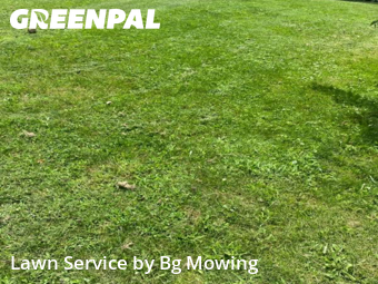 Grass Cut nearby Mount Pleasant, PA, 