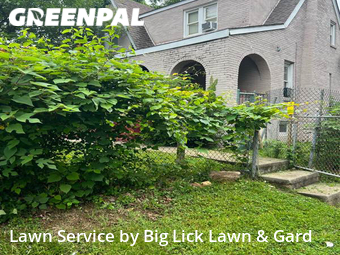 Lawn Cutting nearby Roanoke, VA, 