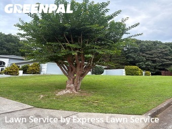 Lawn Mowing nearby Duluth, GA, 