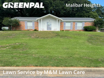 Lawn Cut nearby Mobile, AL, 