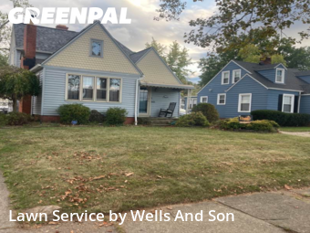 Lawn Management in Euclid, 44119, Yard Management by Wells And Son, work completed in Nov , 2025