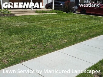 Grass Cut nearby Columbus, OH, 