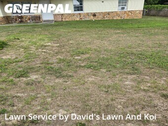 Grass Cut nearby Ocala, FL, 