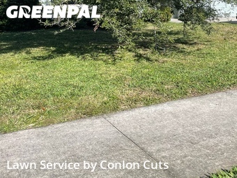 Yard Mowing nearby Parrish, FL, 