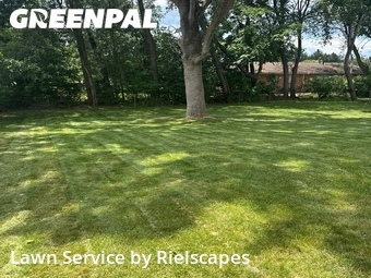 Lawn mowed in Canton, 44720