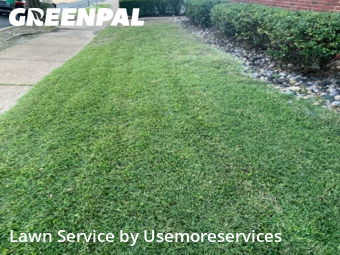 Grass Cut nearby St. Louis, MO, 