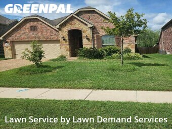 Grass Cut nearby Plano, TX, 