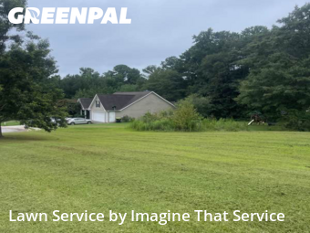 Lawn Maintenance nearby Grantville, GA, 