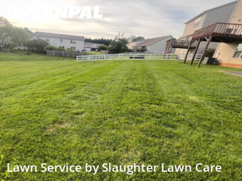 Yard Mowing nearby Powell, TN, 