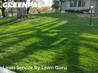 Yard Cutting nearby Minneapolis, MN, 