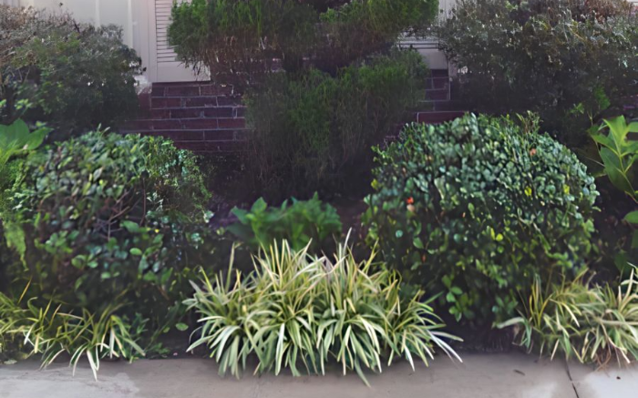 Work Image 1