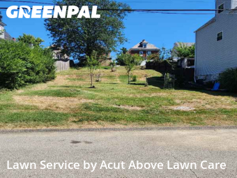 Yard Care Services in Ross Township, 15202, Lawn Work by Acut Above Lawn Care, work completed in Oct , 2025